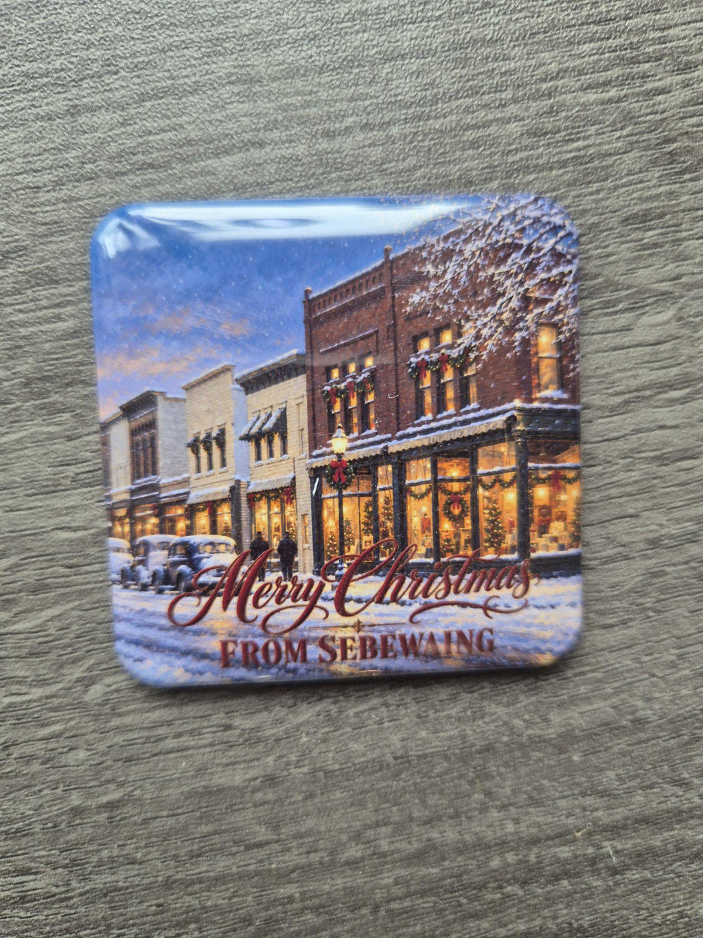 Merry Christmas from Sebewaing magnet, real photo