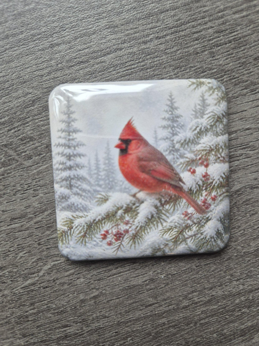 Vintage Christmas cardinal magnet, real photo